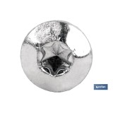 TORNILLO INVIOLABLE TORX30 M-7X80