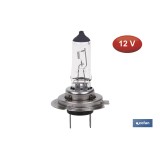 LÁMPARA HALÓGENA COFAN H7 (Px26d) 12V 55W