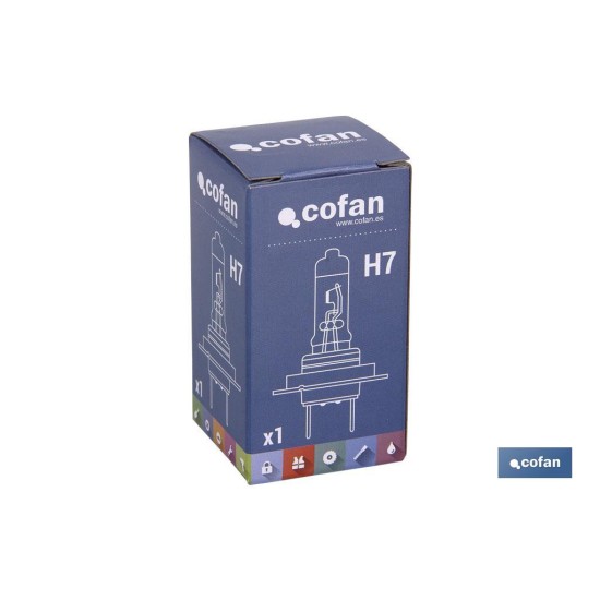LÁMPARA HALÓGENA COFAN H7 (Px26d) 24V 70W