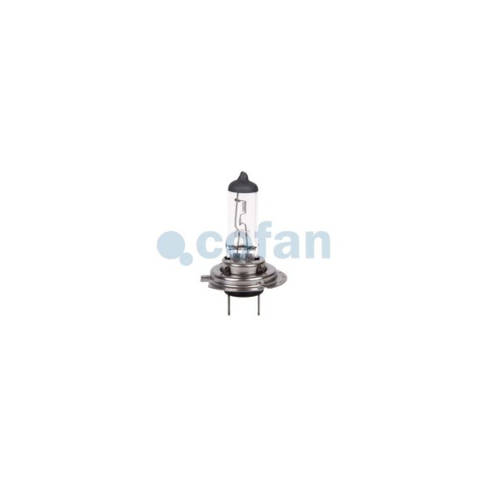 LÁMPARA HALÓGENA COFAN H7 (Px26d) 24V 70W