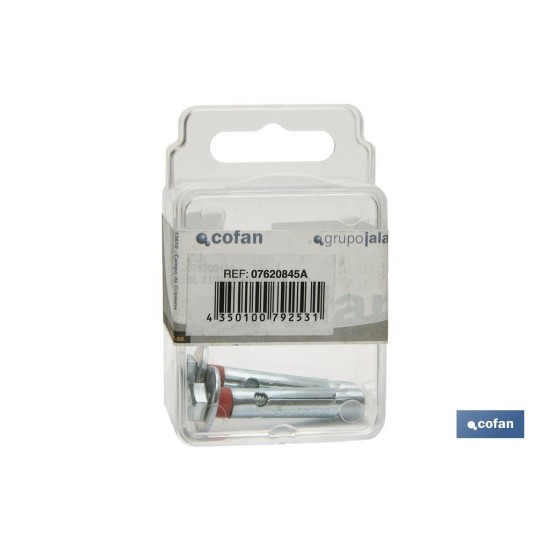 BLÍSTER DE 2 UDS. TACO DE METAL HEXAGONAL 6/8X60 VENTA UNITARIA