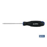 DESTORN. CR-MOLIBDENO SPANNER 6X100