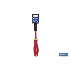 DEST. 1000V  PH2 X 100 VARILLA PROT.