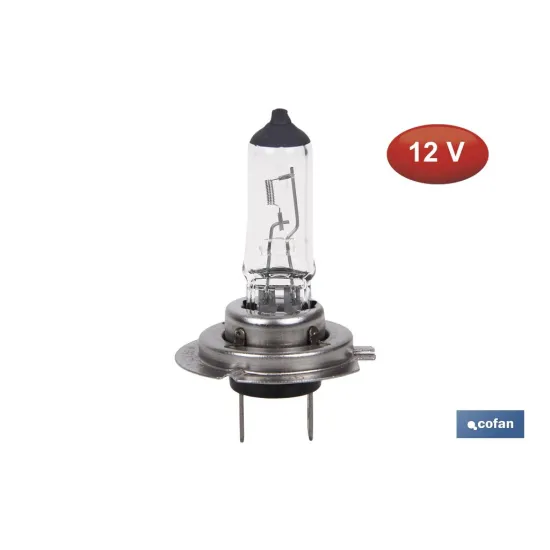 Comprar LÁMPARA HALÓGENA COFAN H7 (Px26d) 1 Cofan | almacendeferreteriacor.es