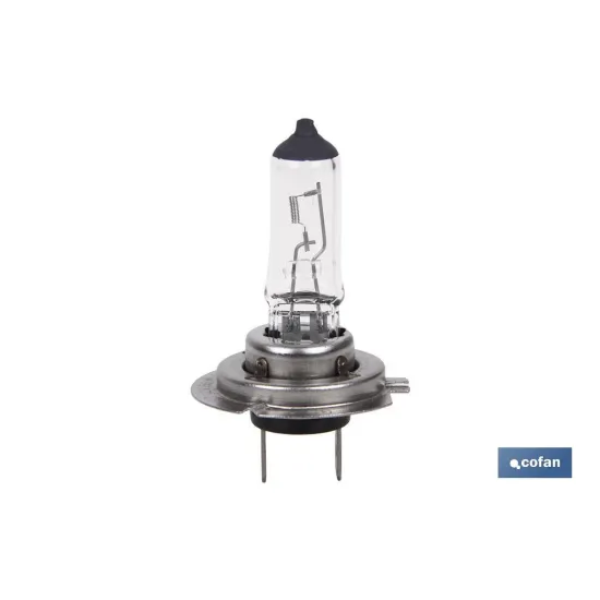 Comprar LÁMPARA HALÓGENA COFAN H7 (Px26d) 1 Cofan | almacendeferreteriacor.es