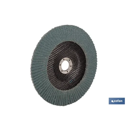 Comprar DISCO LAMINADO PROFESIONAL INCLINAD Cofan | almacendeferreteriacor.es