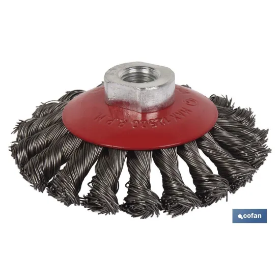 Comprar CEPILLO OBLICUO TRENZADO M14 Ø100 A Cofan | almacendeferreteriacor.es