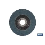 Comprar DISCO LAMINADO ESTANDAR INCLINADO 1 Cofan | almacendeferreteriacor.es