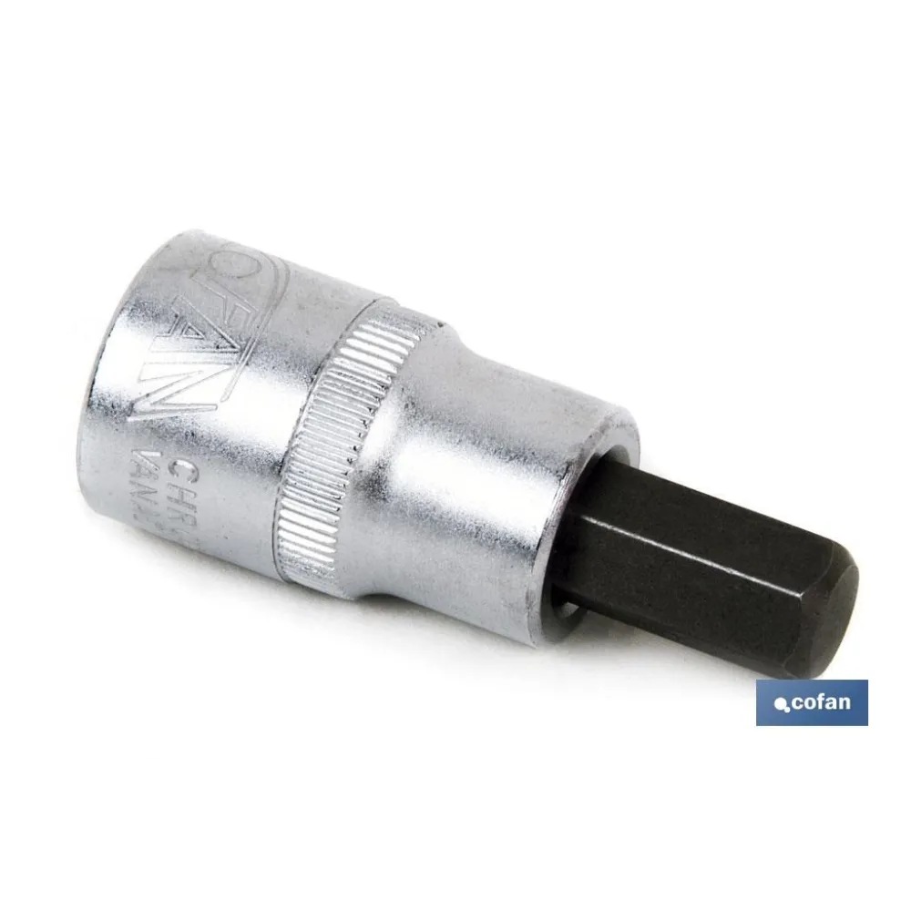 Comprar VASO 1/2 PUNTA CORTA H-8 (PACK: 1 U Cofan | almacendeferreteriacor.es