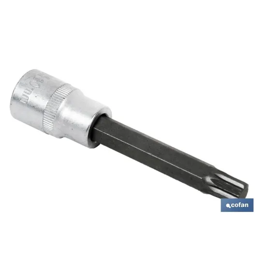 Comprar VASO 1/2 PUNTA LARGA T-50 (PACK: 1  Cofan | almacendeferreteriacor.es