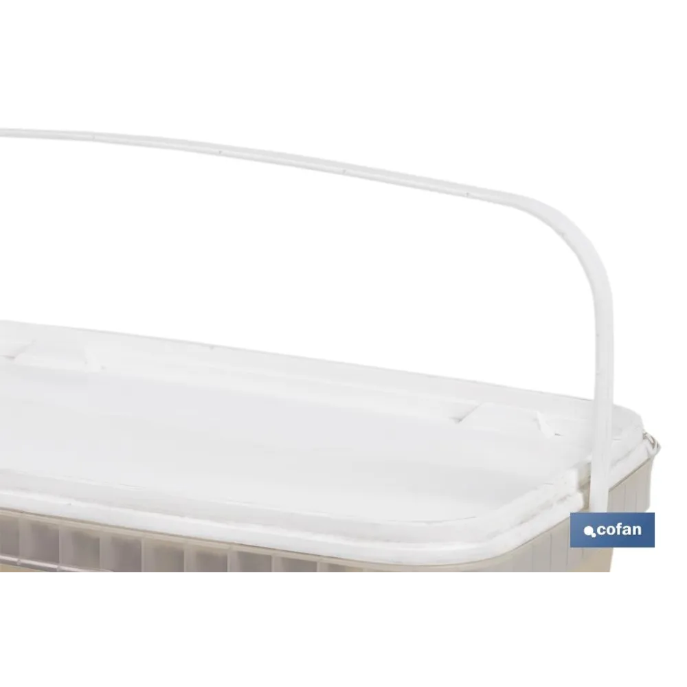 Comprar PINTURA PLÁSTICA MONOCAPA Beige (2, Cofan | almacendeferreteriacor.es