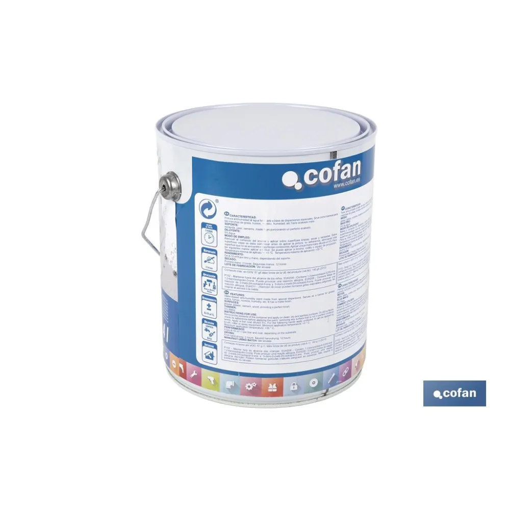 Comprar PINTURA ANTIHUMEDAD AL AGUA (4 L)   Cofan | almacendeferreteriacor.es