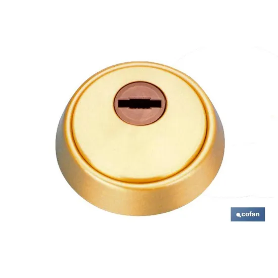Comprar Escudo Antitaladro cerrado+tornillo Cofan | almacendeferreteriacor.es