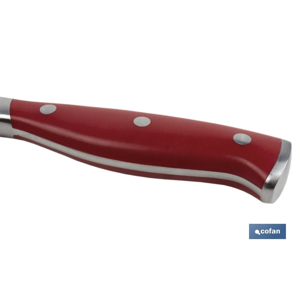 Comprar CUCHILLO JAMONERO/SALMONERO HOJA 25 Cofan | almacendeferreteriacor.es