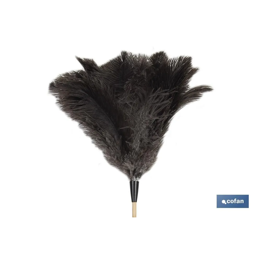 Comprar PLUMERO PLUMA AVESTRUZ MADERA CLASE Cofan | almacendeferreteriacor.es