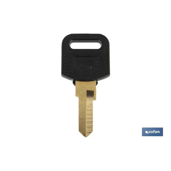 Comprar LLAVE EN BRUTO PARA BUZON (PACK: 10 Cofan | almacendeferreteriacor.es
