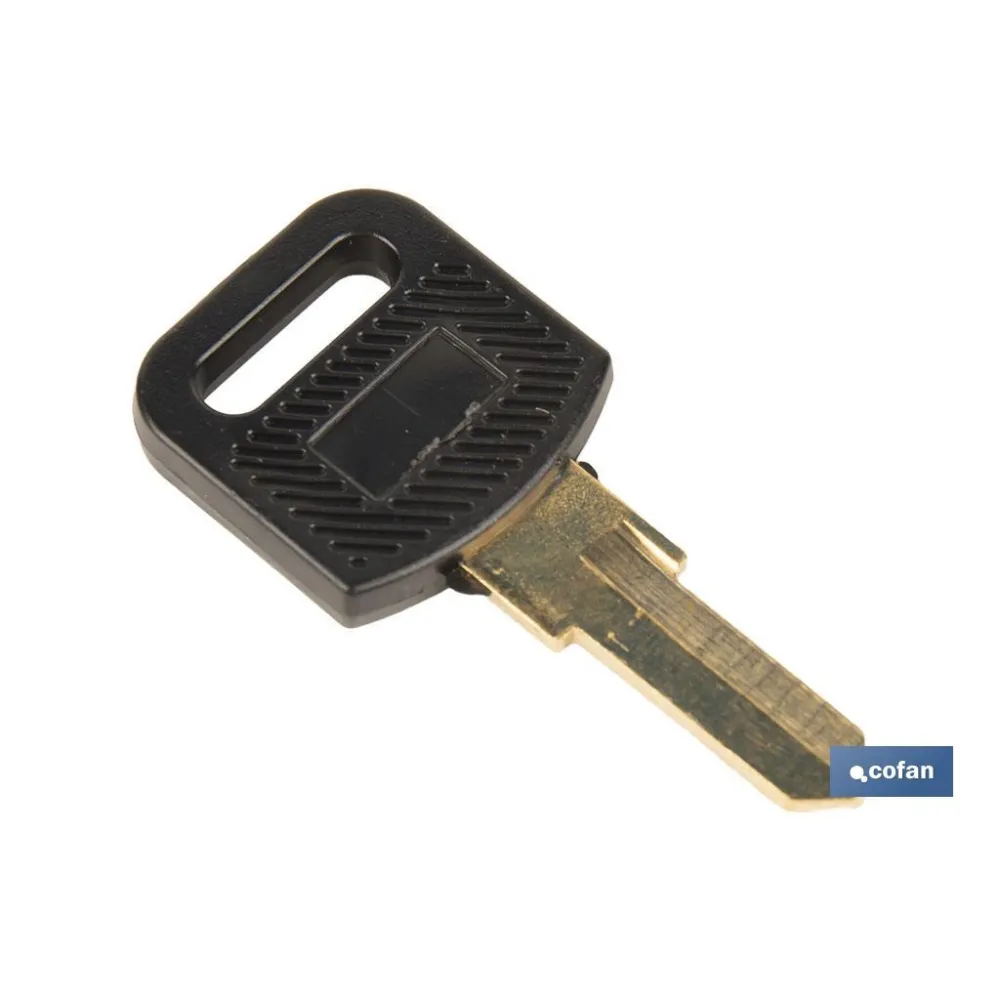 Comprar LLAVE EN BRUTO PARA BUZON (PACK: 10 Cofan | almacendeferreteriacor.es