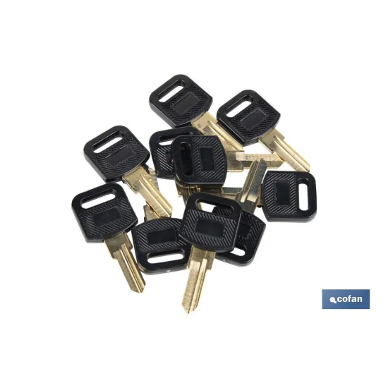 Comprar LLAVE EN BRUTO PARA BUZON (PACK: 10 Cofan | almacendeferreteriacor.es