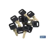Comprar LLAVE EN BRUTO PARA BUZON (PACK: 10 Cofan | almacendeferreteriacor.es