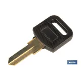 Comprar LLAVE EN BRUTO PARA BUZON (PACK: 10 Cofan | almacendeferreteriacor.es