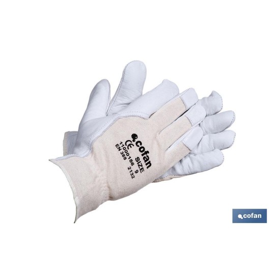 BLISTER G. PIEL V .DORSO DESCUB. T-6