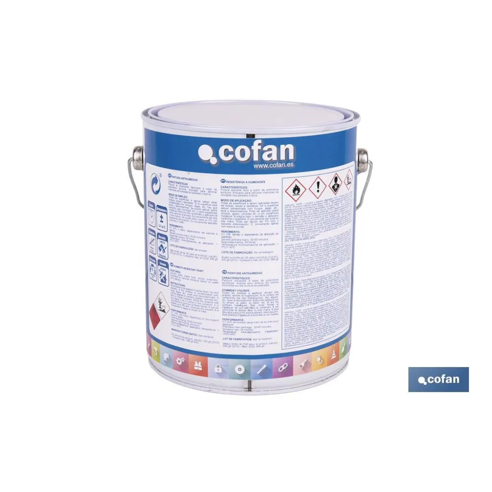 Comprar PINTURA ANTIHUMEDAD SINTÉTICA (4 L) Cofan | almacendeferreteriacor.es