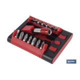 SET PUNTAS ADAPTADOR PH, PZ, TORX, SL  (15 pcs.)
