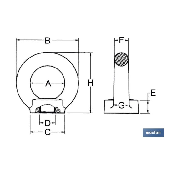 ANILLA ELEVACION HEMBRA DIN 582 M-14 ZN