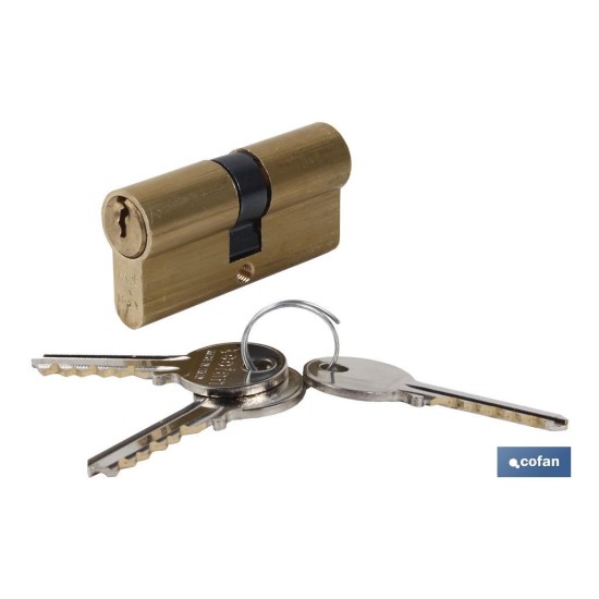 Cilindro40/40 Llaves Iguales Leva Larga Latón AAA