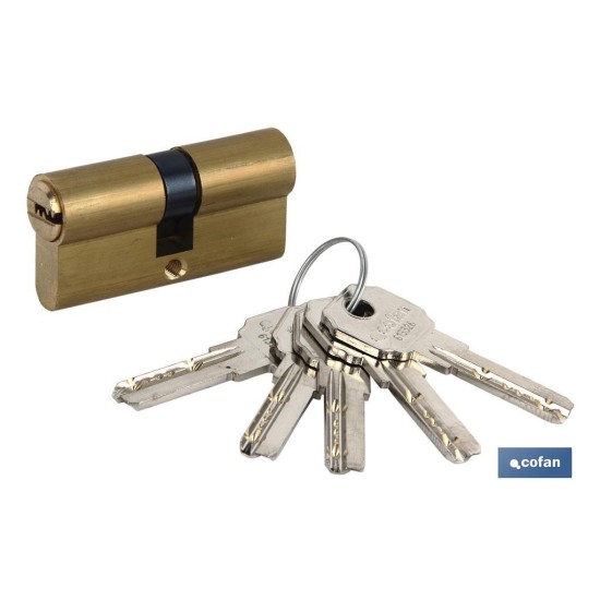 CILINDRO SEGURIDAD llave normal 30/30 LATÓN-LEVA LARGA