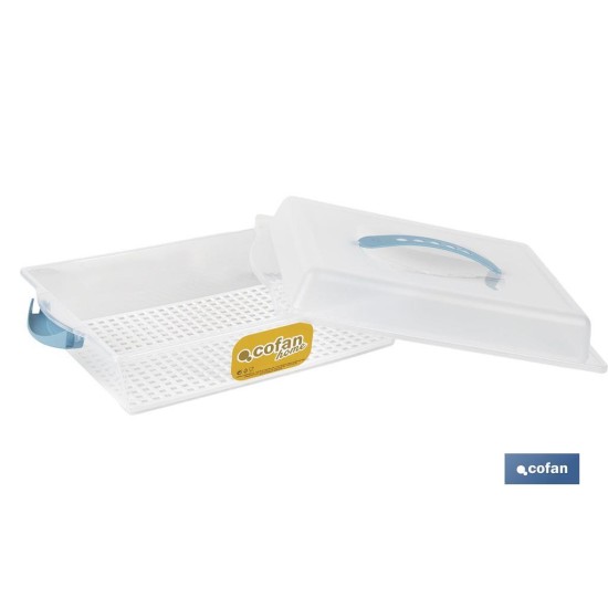 TARTERA RECTANGULAR AZUL OPACA PAVLOVA CON ASAS 38 X 28 X 13 CM venta unitaria