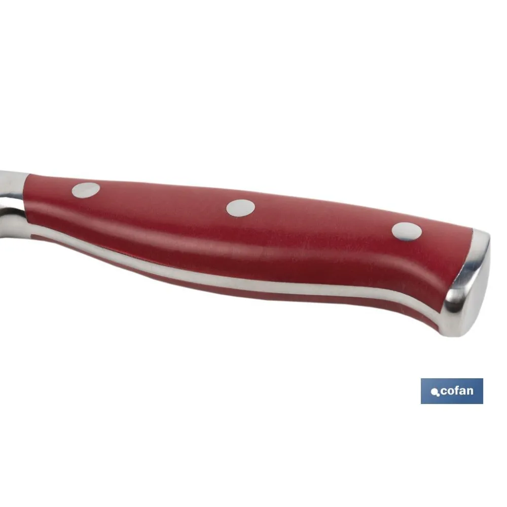 CUCHILLO PANERO HOJA 21cm MODELO AGUACEJO ROJO (PACK: 1 UDS) - Almacén de Ferretería Acor