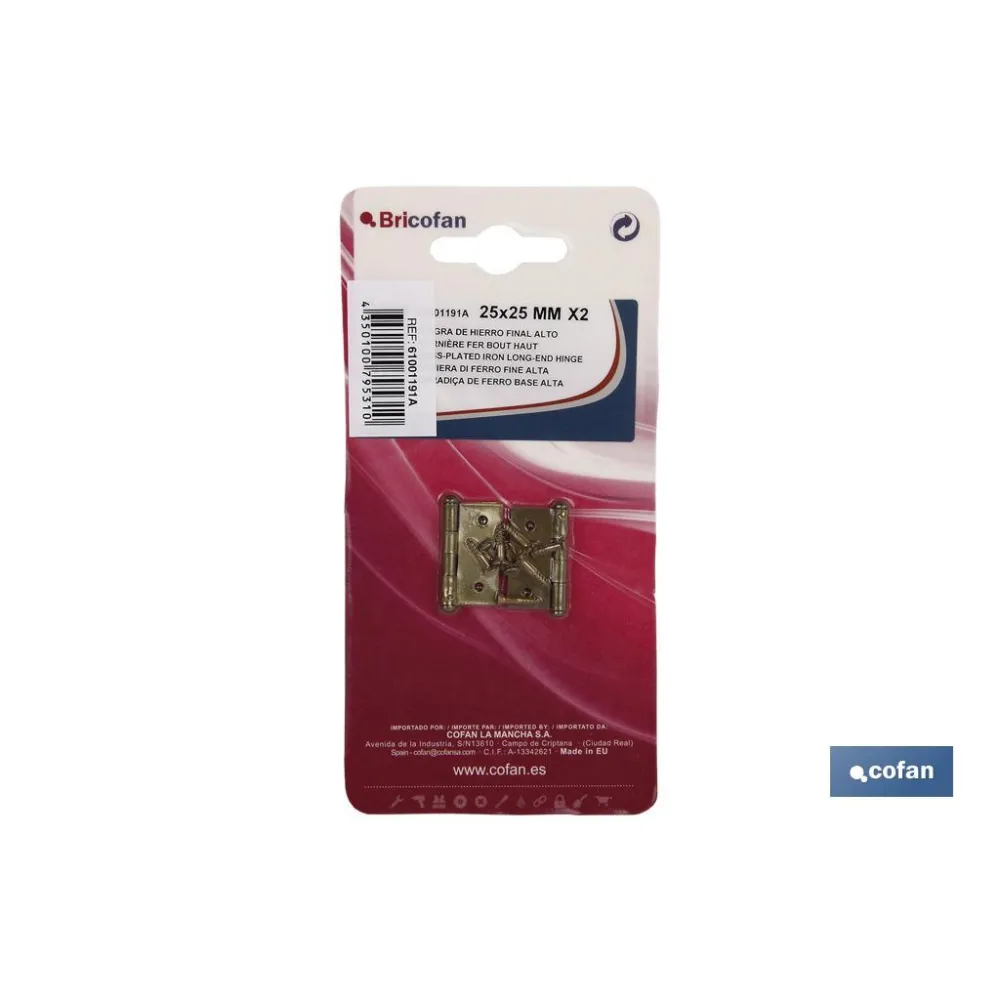 2 UDS. BISAGRA DE HIERRO LATONADO FIN ALTO 60X40 VENTA UNITARIA (PACK: 1 UDS) - Almacén de Ferretería Acor