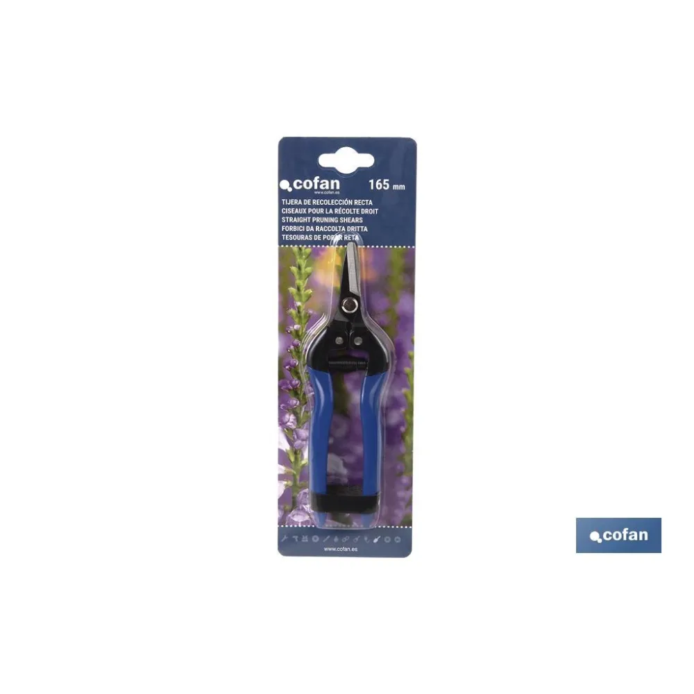 TIJERA RECOLECCION 165mm RECTA (PACK: 1 UDS) - Almacén de Ferretería Acor