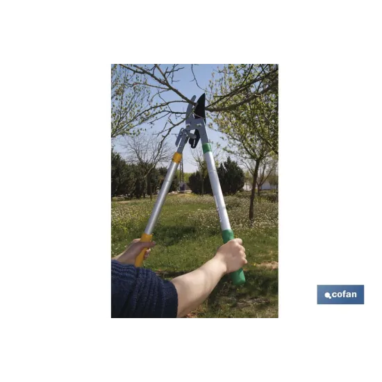 TIJERA PODA TELESCOPICA 25 - 38 (PACK: 1 UDS) - Almacén de Ferretería Acor