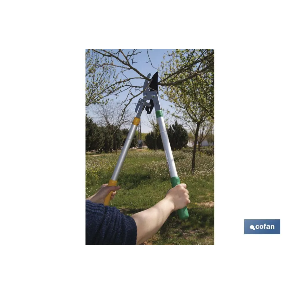 TIJERA PODA TELESCOPICA 25 - 38 (PACK: 1 UDS) - Almacén de Ferretería Acor
