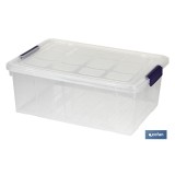 CAJA DE ORDENACION  9L MODELO RICORDI 37X26X14cm POLIPROPILENO