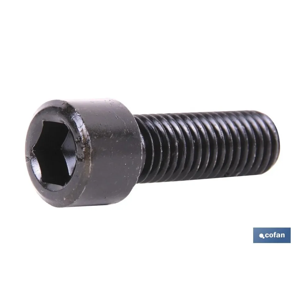 DIN-912 C-8.8    M-24 X 80 N