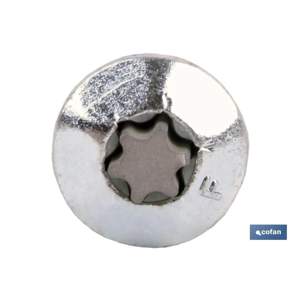 TORNILLO INVIOLABLE TORX30 M-7X80