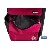 CARRO DE LA COMPRA NEGRO Y GRANATE PLEGABLE DE ALUMINIO CON 2 RUEDAS GRANDES 43 L