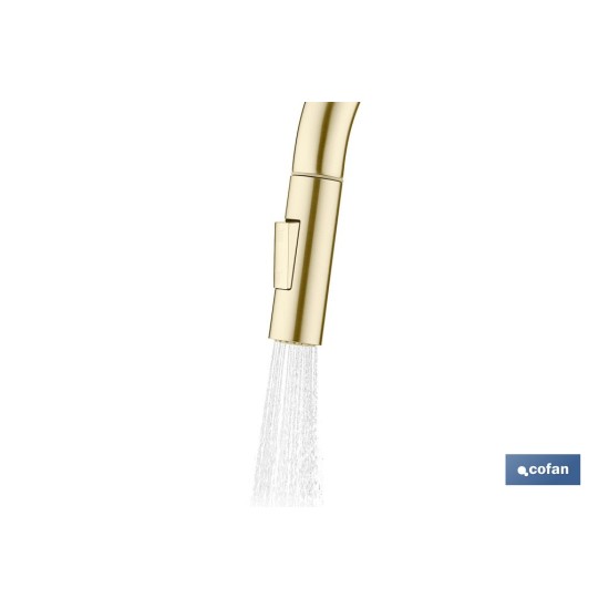 GRIFO DE COCINA CEPILLADO DORADO DE ACERO CON MANGUERA EXTENSIBLE Y 2 FUNCIONES 400 X 220 X 54 MM