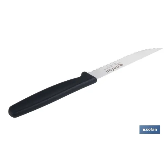 PACK DE 25  CUCHILLOS DE COCINA MICRODENTADO 10,5 cm