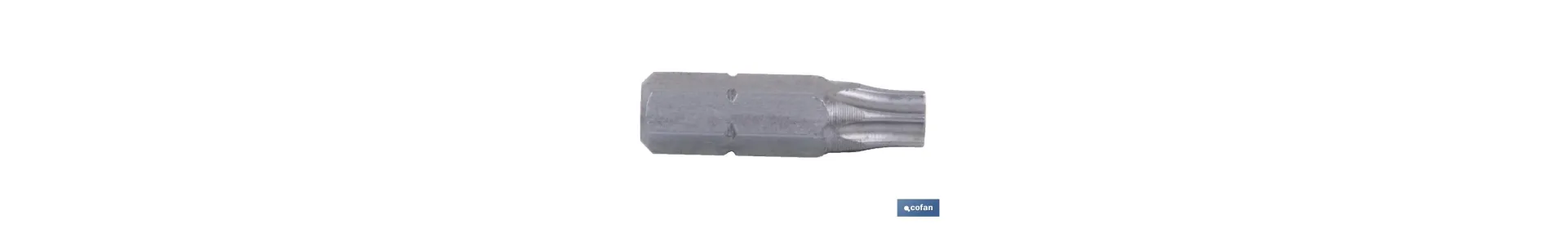 Destornillador Torx con punta inviolable | Diferentes tamaños