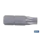 Destornillador Torx con punta inviolable | Diferentes tamaños
