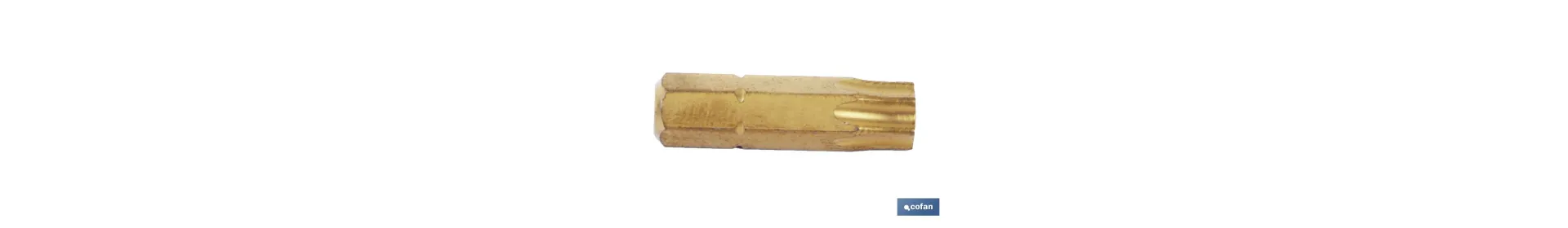 Punta para atornillador | Fabricado en Titanio | Modelo 1/4 Torx | Longitud 25 mm