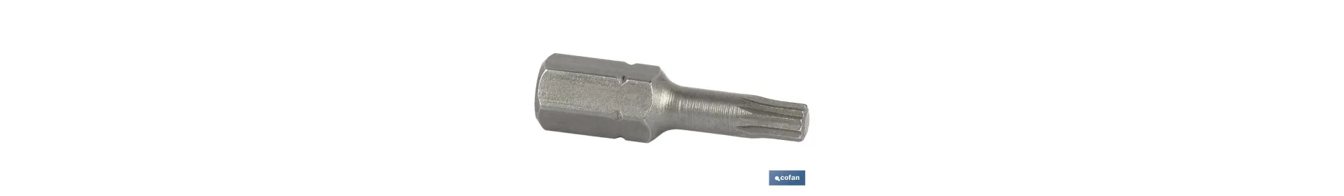 Punta XZN Extra dura de atornillar | Modelo 1/4 XZN | Longitud 25 mm