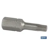 Punta XZN Extra dura de atornillar | Modelo 1/4 XZN | Longitud 25 mm