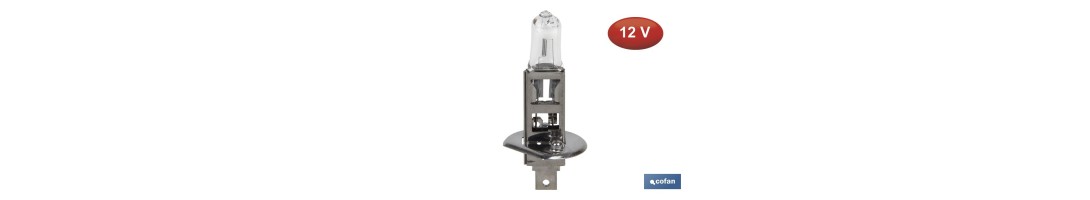 Lámpara Halógena H1 (P14,5S) 12V 55W | Pack: 10 uds