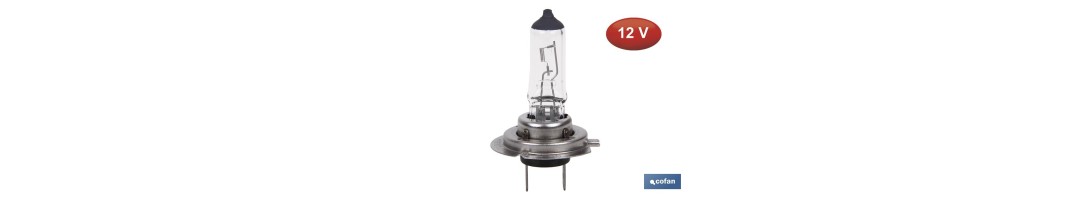 Lámpara halógena H7 (Px26d) 12 V 55 W | Pack: 10 unidades