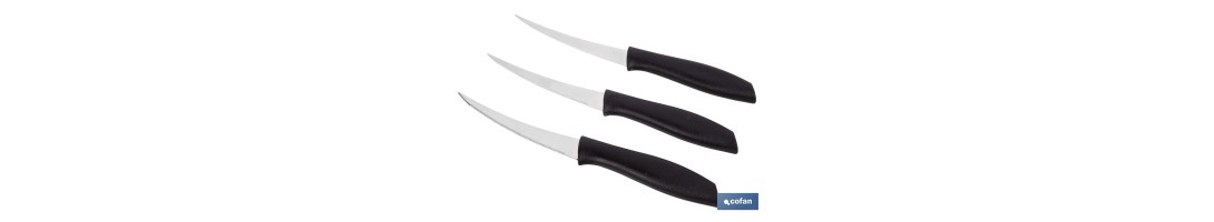 Pack de 3 cuchillos para fruta y verdura con mango ergonómico | Hoja de acero inoxidable | Longitud de la hoja: 10 cm